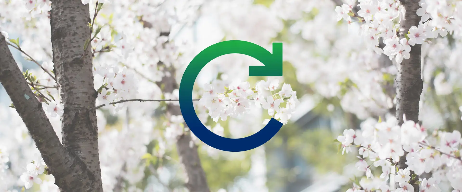 WEB banneri_kevät26.jpg