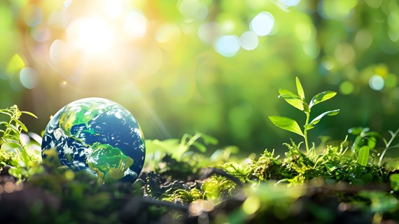 Asiakkaiden vastuullisuushaasteet ja ratkaisut – muutamia käytännön vinkkejä