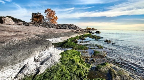 Tärkeimmät opit vuoden 2019 suurten yritysten energiakatselmuksista