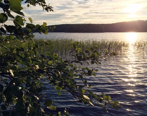 kesäinen järvimaisema