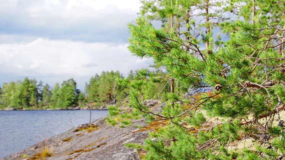 Yhteistyömme Napapiirin Energia ja Veden kanssa  laski vuotovesien määrää ja lisäsi työturvallisuutta